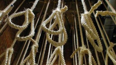 At least 101 foreigners including Indians executed in Saudi Arabia in 2024