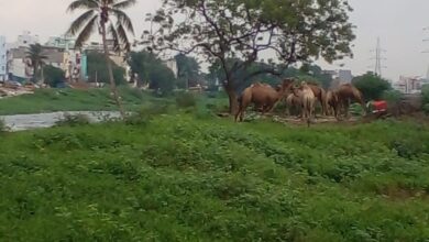 Tghe Musi Riverfront Development Project throws an opportunity for making rag-picking a more acceptable occupation while creating sustainable livelihoods.