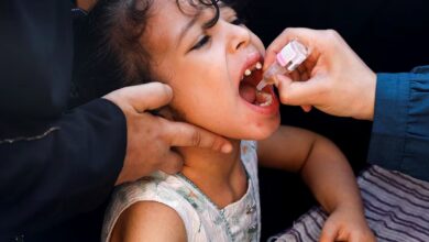 Polio vaccination campaign to resume in Gaza: UN