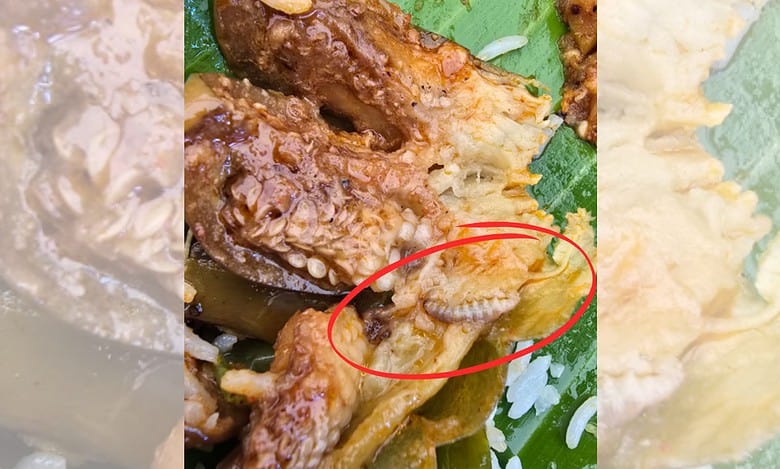 Worm found in food served at Hyderabad cafeteria