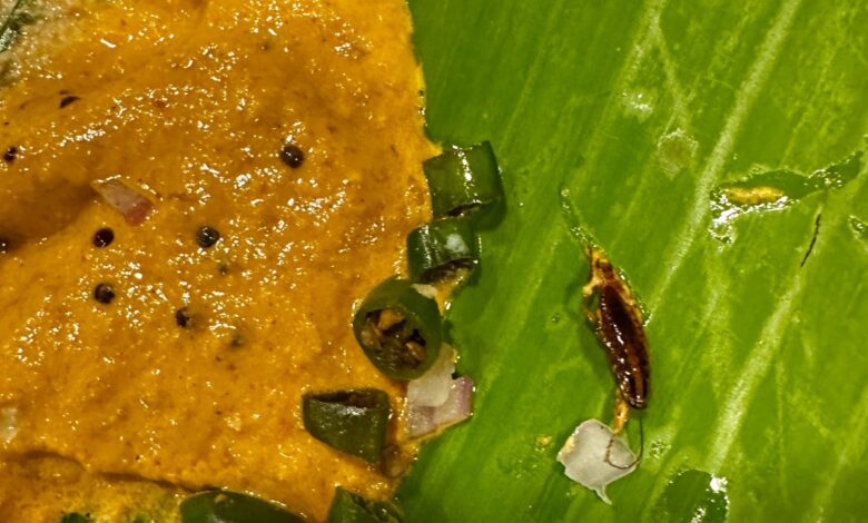 Cockroaches found in breakfast served at tiffin centre in Hyderabad