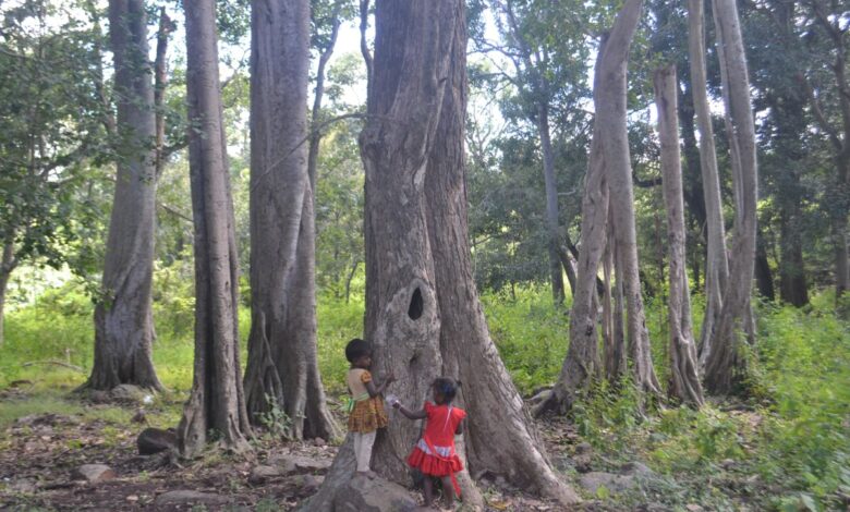Telangana government moves swiftly to relocate tribals from the core forests of Amrabad and Kawal Tiger Reserves.
