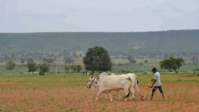 Sanyukta Kisan Morcha, along with farmers and farm workers' unions to hold public hearing of tenant farmers at Dharna Chowk on December 4.