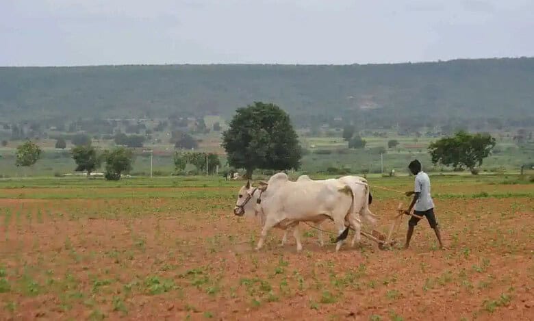 Sanyukta Kisan Morcha, along with farmers and farm workers' unions to hold public hearing of tenant farmers at Dharna Chowk on December 4.