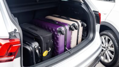 India-UAE travel: Ghee, pickles, & more in the updated list of prohibited items
