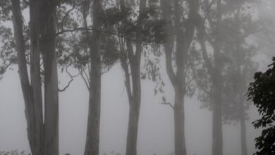 This village near Hyderabad sees snow in winters