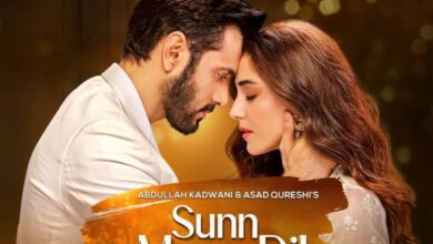 Wahaj Ali, Maya Ali's Pak drama Sunn Mere Dil gets NEW name