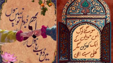Urdu gets digital makeover, thanks to Hyderabad artist Mussaafir