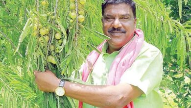 Telangana ryot wins 'Millionaire Farmer of India' award