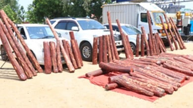 Red sanders smuggling