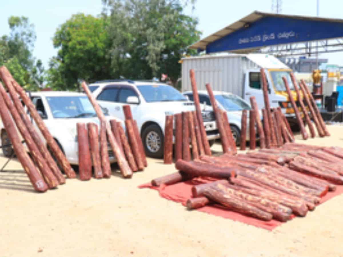 Red sanders smuggling