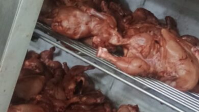 Food safety dept raids restaurants in Hyderabad
