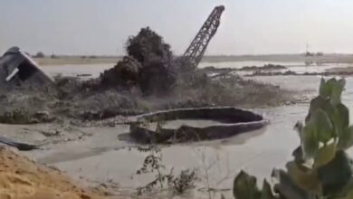 Watch: Tubewell drilling unleashes underground geyser in Rajasthan desert