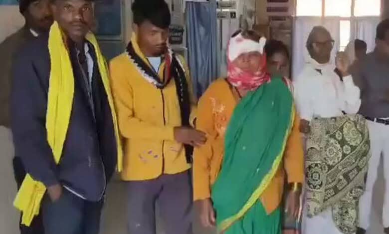 Telangana woman attacked by leopard while attending nature's call
