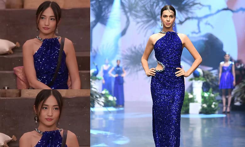 Bigg Boss 18: Price of Chum Darang's blue weekend ka vaar gown