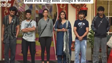 Bigg Boss Telugu 8: Winner name picked, it's not Nabeel Afridi
