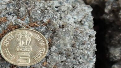 Rs 5 coins