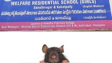 Girl students of Jyotiba Phule BC Welfare Residential School in Keesara bitten by rats while they were asleep.