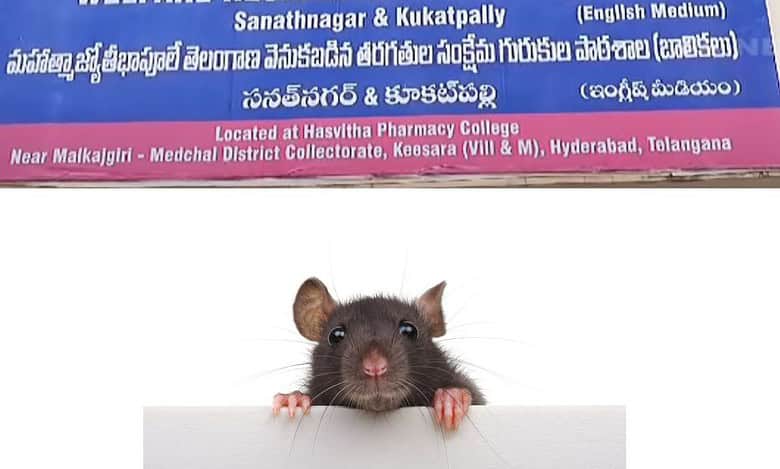 Girl students of Jyotiba Phule BC Welfare Residential School in Keesara bitten by rats while they were asleep.