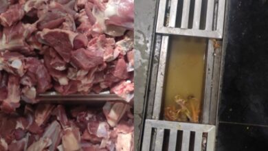 Raids conducted at famous restaurants in Hyderabad's Gachibowli