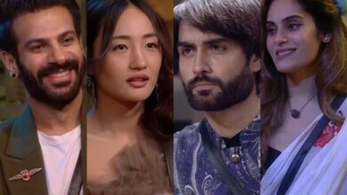 Top 11 contestants of Bigg Boss 18; show is all set for finale
