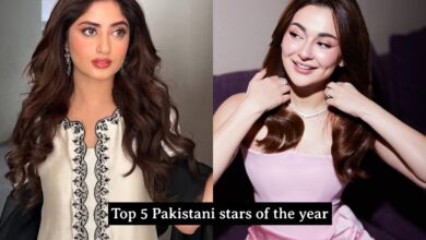 Top 5 Pakistani celebrities of 2024: Stars who ruled headlines