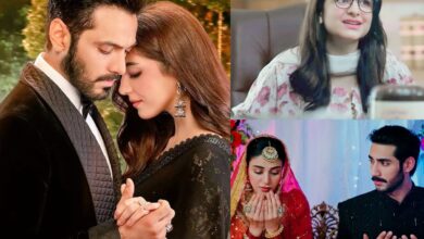 Top 8 Pakistani dramas of November 2024: Jafaa to Sunn Mere Dil