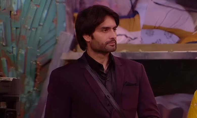 Bigg Boss 18: Highest-paid celeb Vivian Dsena's earnings so far