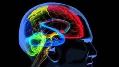 Costly therapies to foster Alzheimer’s market growth globally