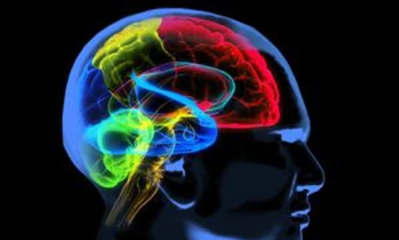Costly therapies to foster Alzheimer’s market growth globally