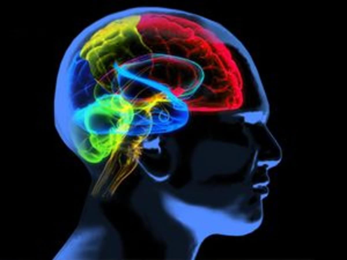 Costly therapies to foster Alzheimer’s market growth globally