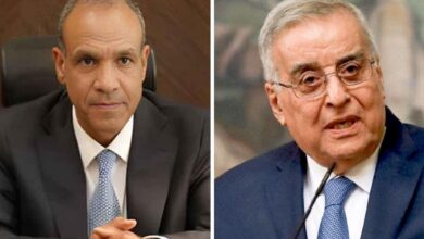 Egypt, Lebanon urge non-interference in Syria's transition