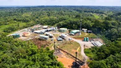 Centre approves drilling to find oil in Assam's eco-sensitive sanctuary