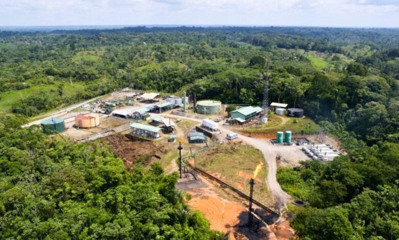 Centre approves drilling to find oil in Assam's eco-sensitive sanctuary