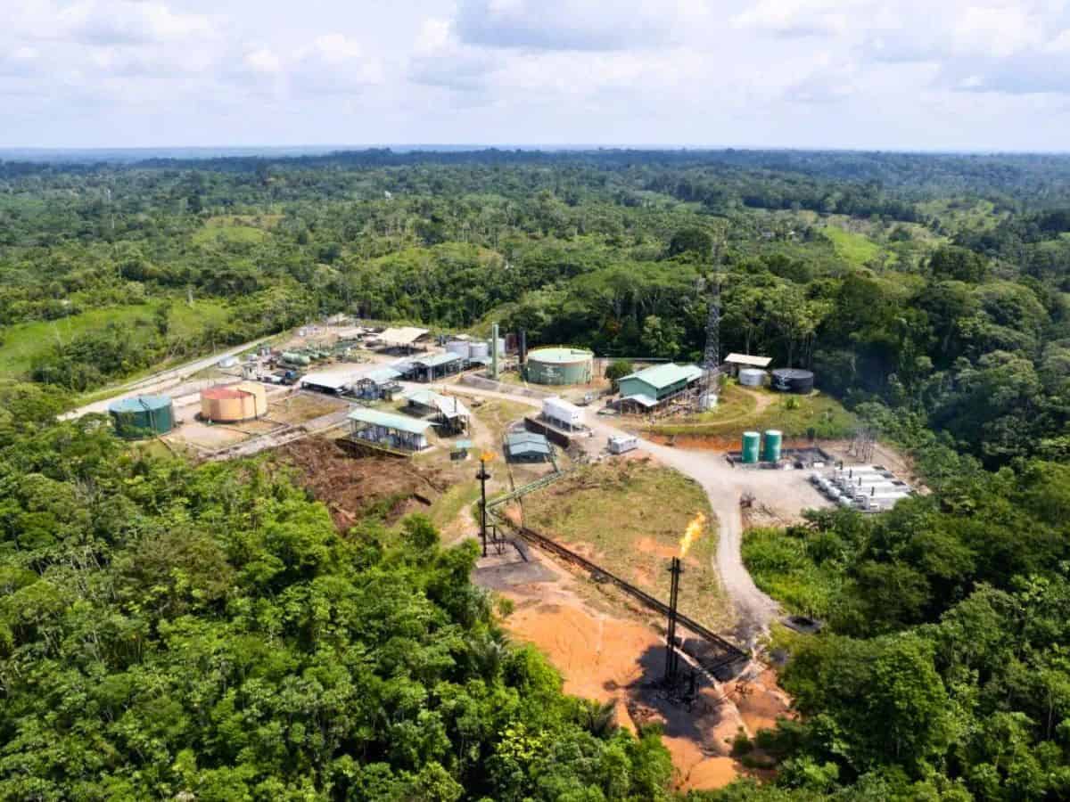 Centre approves drilling to find oil in Assam's eco-sensitive sanctuary