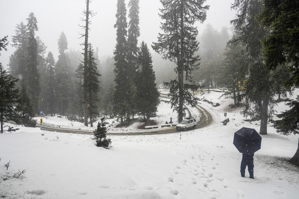 Snowfall in J&K's Gulmarg