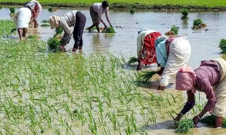 Telangana high court orders the state government to extend Indiramma Aatmeeya Bharosa to landless agricultural workers living in municipal areas.