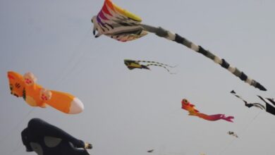 International Kite Festival at Parade Grounds in full swing