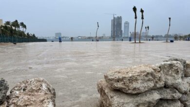 Saudi Arabia Sandy beach