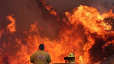 Los Angeles wildfires