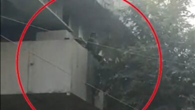 Man jumps off flyover in Hyderabad's Amberpet after stealing