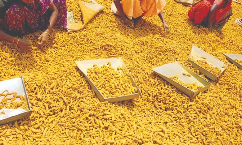 The Centre announces launching the National Turmeric Board in Nizamabad on Sankranthi, January 14.