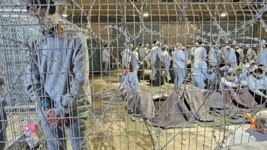 2024 deadliest year in history for Palestinian detainees in Israeli prisons: Report