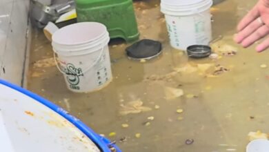 Restaurant in Hyderabad face criticism for serving leftover onions