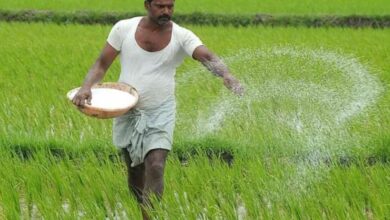 Rs 569 crore given to 4.41 lakh farmers under Rythu Bharosain Telangana.