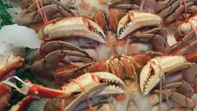Seafood