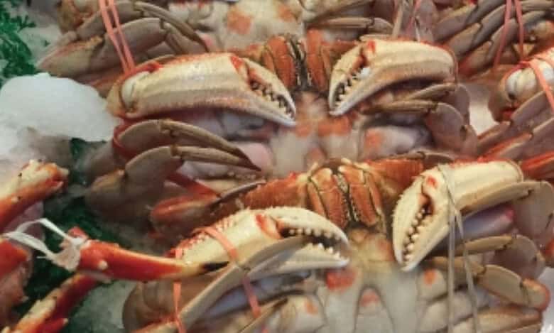 Seafood