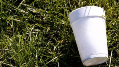 Dubai: Ban on single-use plastic products comes into force