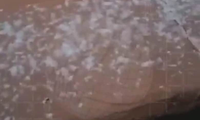 UAE: Coldest temperature of 2.2 degree Celsius recorded, sees frost formation