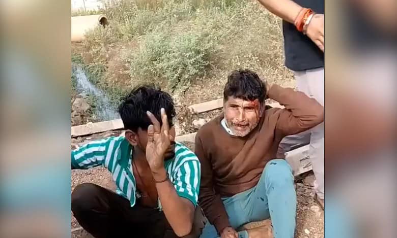 cow vigilantes